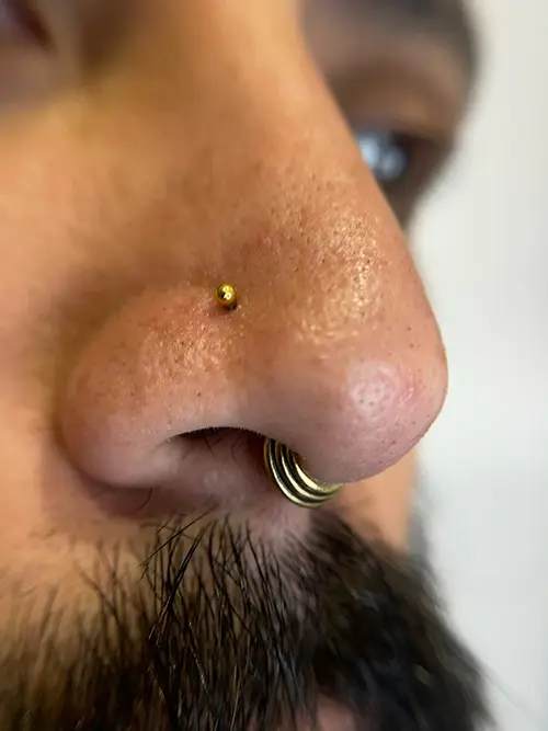 Septum Realizado por Blu Piercer