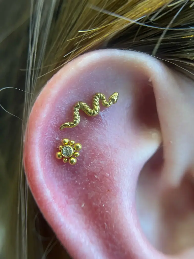 Piercing oreja Barcelona: Resultado estético de múltiples perforaciones cicatrizadas